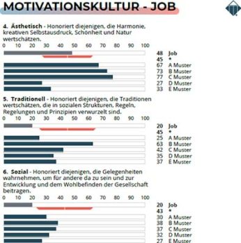 Job_Talent-Vergleichsreport_Motivationskultur